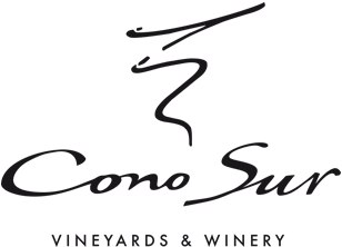 logo-93-cono-sur-silencio-cabernet-sauvignon