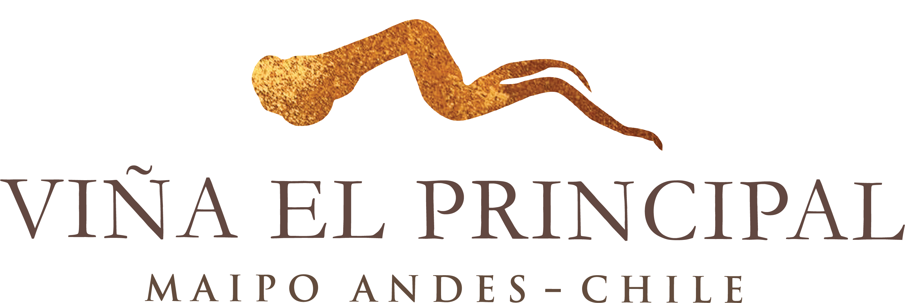 logo-20-el-principal