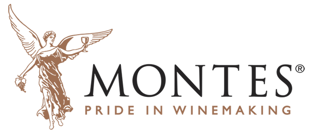 logo-346-montes-wings